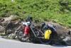 IMG 6763 IMG 6763