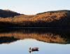 IMG 9696 IMG 9696