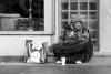 IMG 9973 IMG 9973