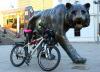 IMG 9977 IMG 9977
