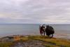 IMG 9998 IMG 9998